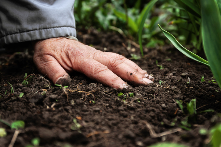 Networking Is All About Farming, Not Hunting. - FEI