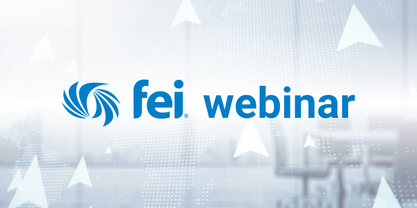 AI Controls in Financial Reporting: An Introduction to FEI's Framework
